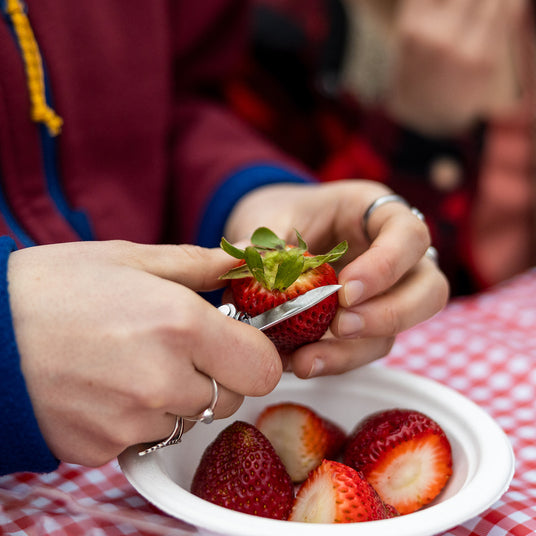 Leatherman Micra blade delicately cutting the sepals of a fresh strawberry.